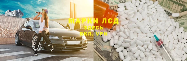 индика Гусев