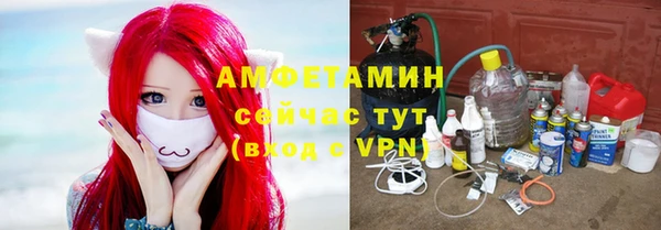 индика Гусев