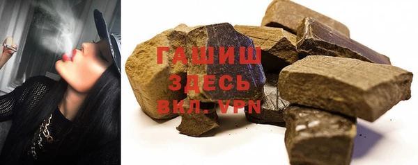 индика Гусев