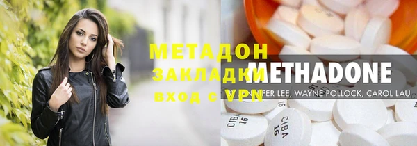 индика Гусев