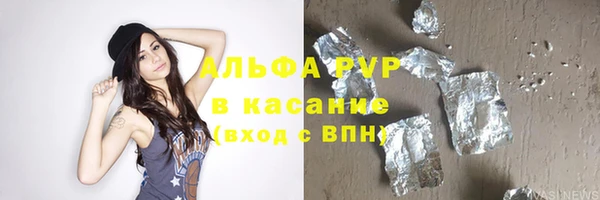 индика Гусев