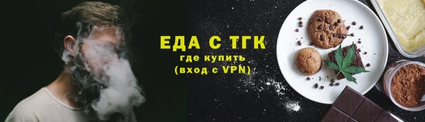 индика Гусев