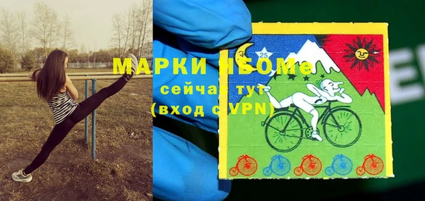 индика Гусев