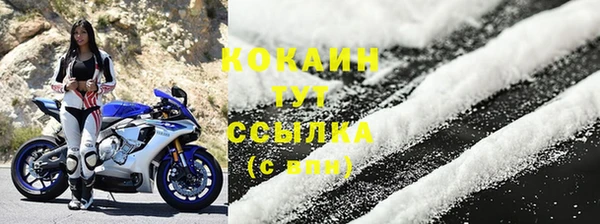 индика Гусев