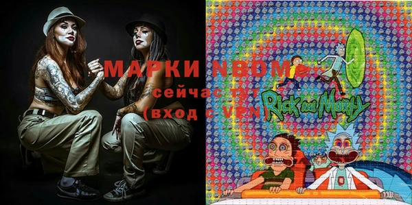 индика Гусев