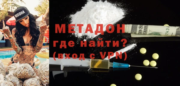 индика Гусев