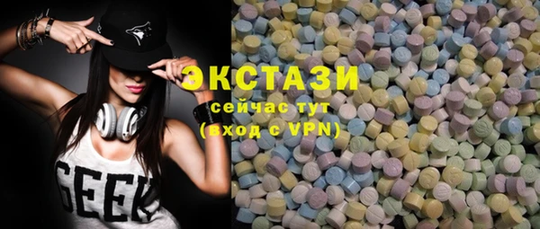 индика Гусев
