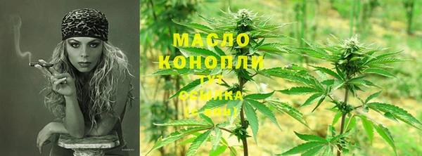 индика Гусев