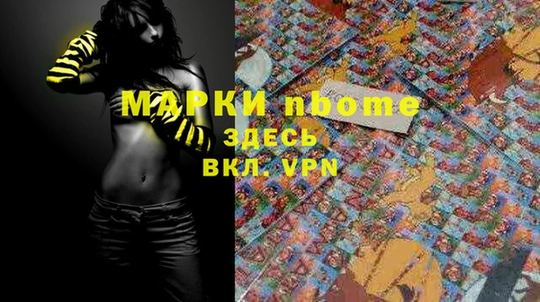 индика Гусев
