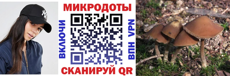 Галлюциногенные грибы мухоморы  Купить  Первомайск 