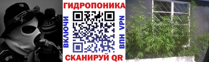 Бошки Шишки тримм Первомайск